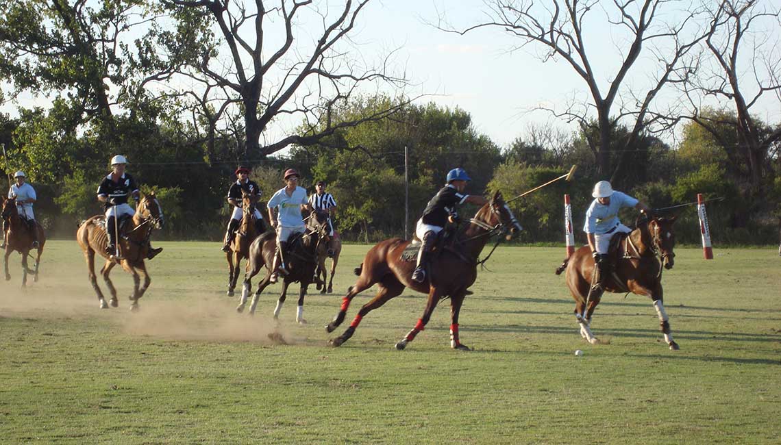 Polo match