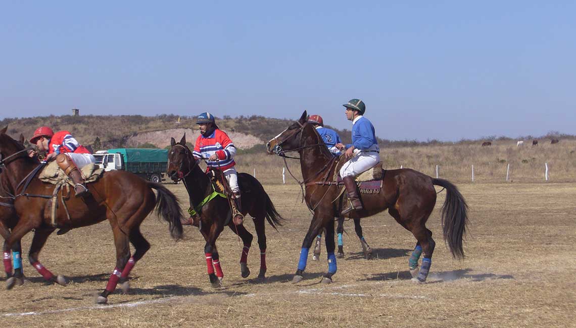 Polo match