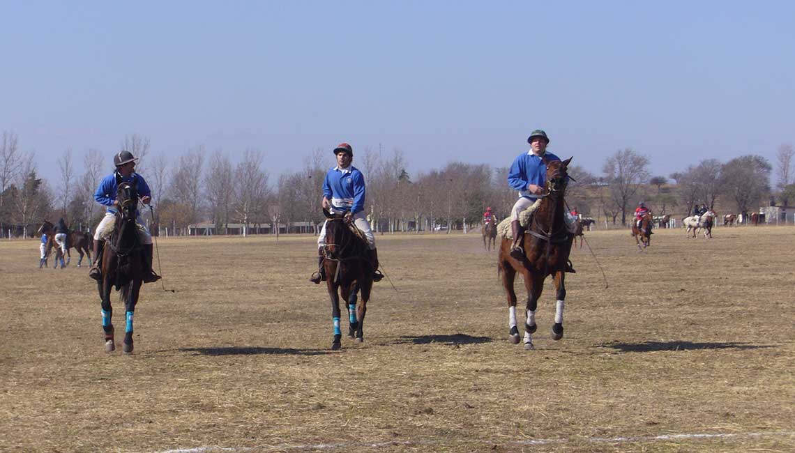 Polo playground