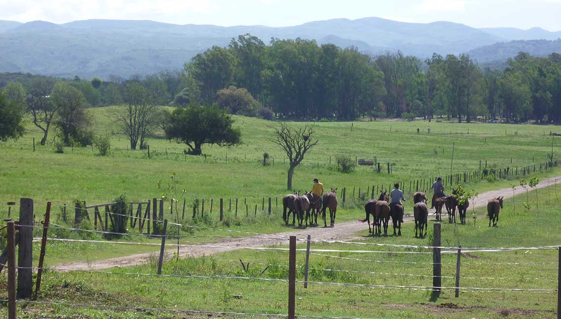 Beautiful polo ranch property