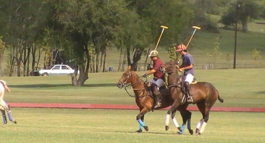Polo Lovers