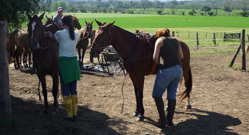 Horse care on the polo ranch