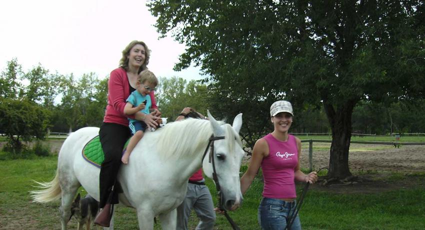 Volunteer work project equine therapy