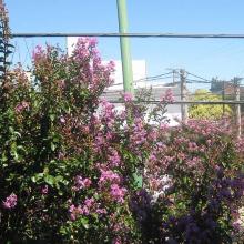 Blick aus dem Fenster