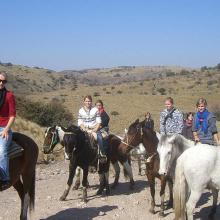 Reiten