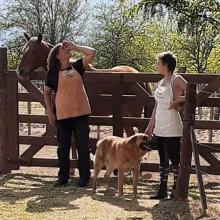 2 farmstaynees
