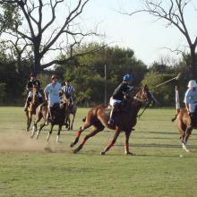 Polo match