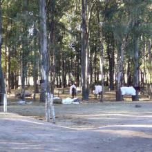 The horses are all year round outdoor