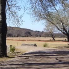 The landscape