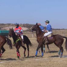Polo match