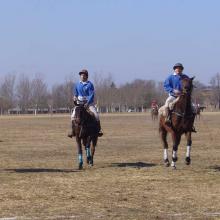 Polo playground