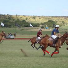 Polo game