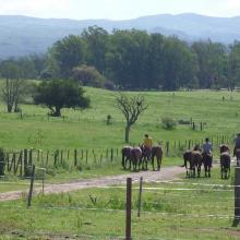 Beautiful polo ranch property