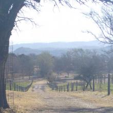 Landscape of the polo ranch