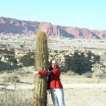 Hug a cactus