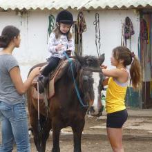 Equine therapy in Argentina