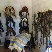 Saddles
