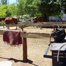 Horse club property