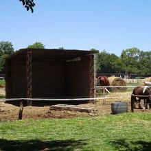 Help at a horse and riding club
