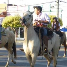 Gaucho Festival