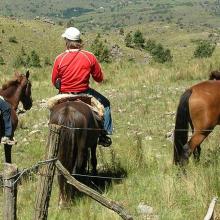 Reitabenteuer in Argentinien
