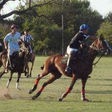 Polo Match