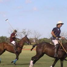 Polo Match in Argentinien